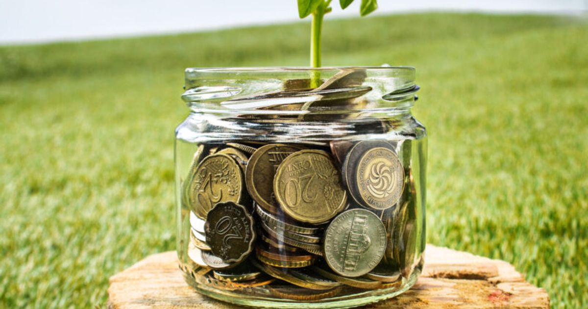 Plant growing in Coins glass jar for money on green grass