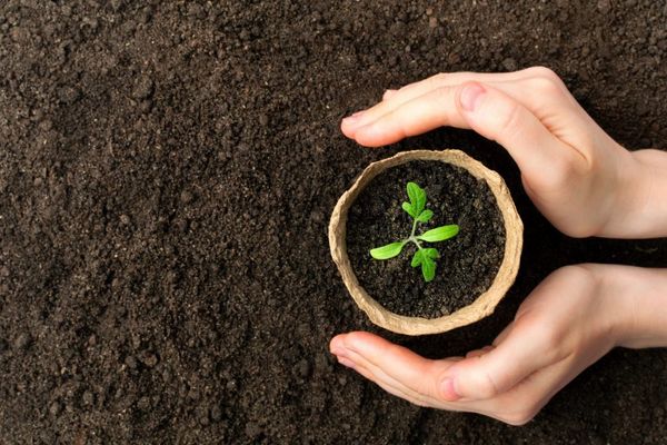 shutterstock_1712129335-scaled-e1618330191615