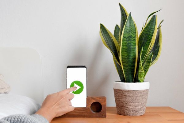 pexels-marko-klaric-6408286 (1)